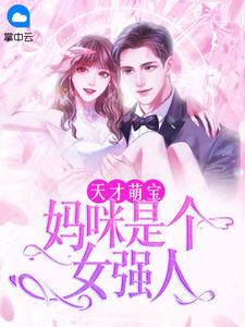 天才萌宝妈咪是个女强人免费阅读全文