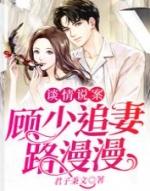 傅先生和顾小姐良辰愿