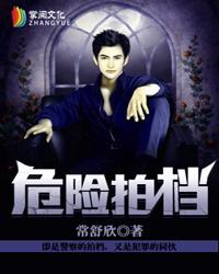 危险拍档txt精校版