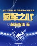 冠军之心3电子书
