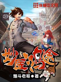 妙医鸿途未删减版