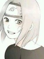 家里来野猫预兆着什么