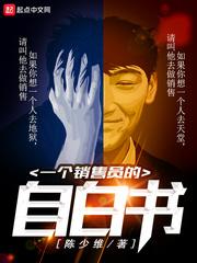 一个销售员的自白书 陈绍维