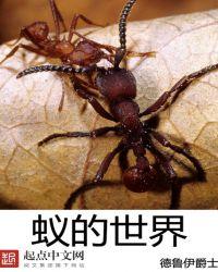 小小蚁世界