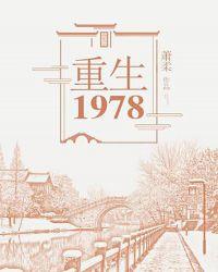 重生1978王小明