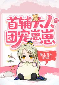 首辅大人的团宠崽崽陌上贵人