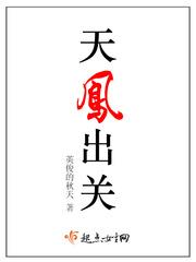 天凤 规则