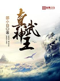 真武神王在线阅读