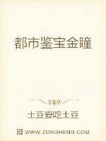 都市鉴宝金瞳有声
