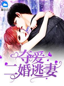 叶少的夺爱婚妻全文阅读