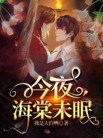 海棠未眠纯音乐