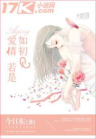 爱情若是如初见歌词