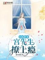 双面撩妻宫先生撩上瘾免费阅读