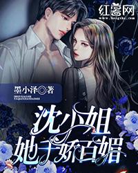沈倾慕墨啸风
