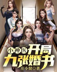 小神医开局九张婚书完整版百度