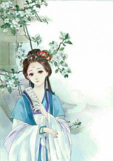 苏瑾璃秦九渊律师