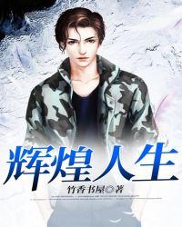 辉煌人生柳树生免费阅读txt