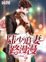 陆少追妻路漫漫陆庭深