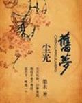 尘光旧梦墨未txt