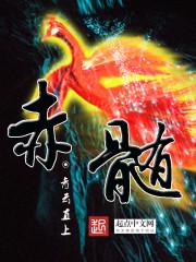 赤髓玛瑙是什么颜色的