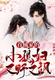 穿书首辅大人的糟糠妻