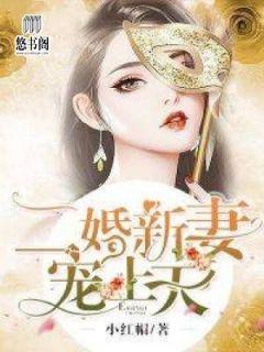 二婚新妻宠上天免费