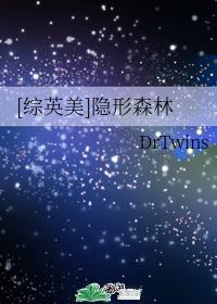 综英美隐形森林