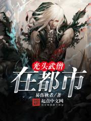 光头武僧在都市TXT笔趣阁