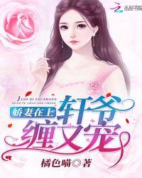 娇妻在上轩爷缠又宠
