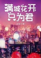 满城花开的歌词