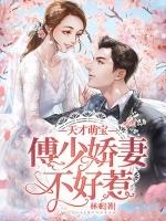 傅少v5财迷娇妻宠翻天