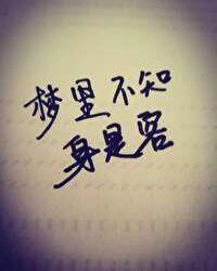 却疑身是老坡仙