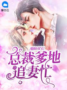 龙凤双宝总裁爹地很傲娇苏晚凉