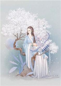 南宫玥玄华青雀在线阅读