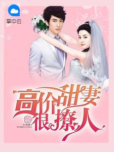 高价甜妻很撩人第940章