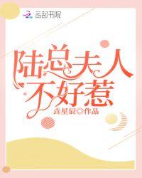 陆总夫人说这婚迟早要离结局