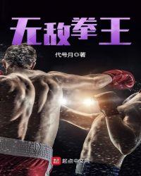 电视剧无敌拳王