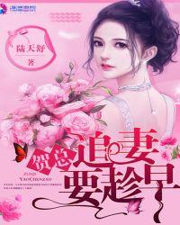 贺苦追妻