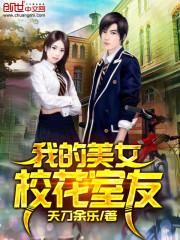 我的美女校花老婆完结