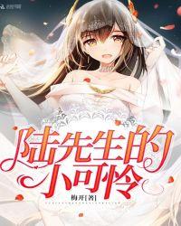 沈先生的小可怜一纸