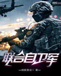 联盟自卫型国家