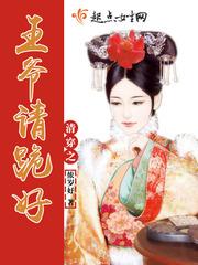 清穿之爷要做闲王