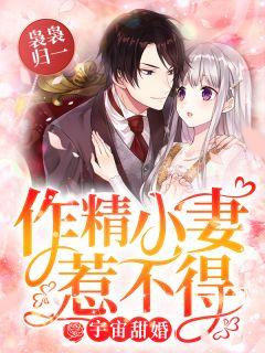 莫笙沈年全文免费阅读