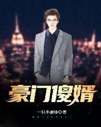 豪门傻婿多少集