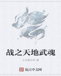 武林志插曲天地武魂
