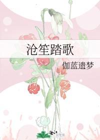 沧笙踏歌 似水流年 回得了过去 回不了当初