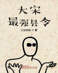 大宋最强县令txt