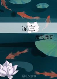 家主团是什么意思