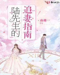 陆先生追妻火葬场内容