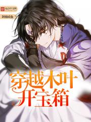 穿越木叶开宝箱的